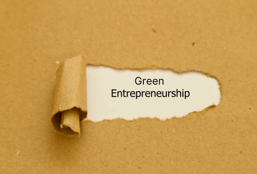 5 Paths to Green Entrepreneurship