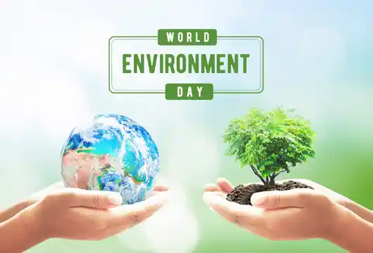 10 Individual Pledges for World Environment Day