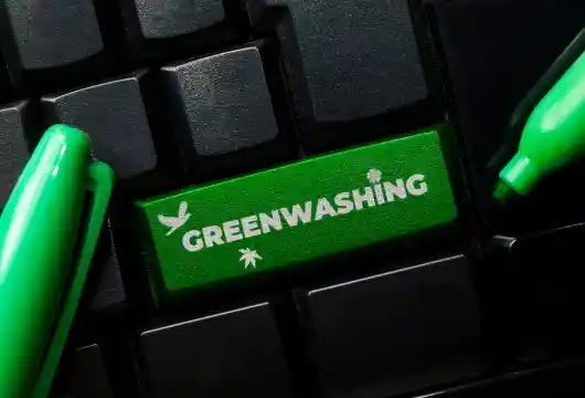 Unmasking Greenwashing