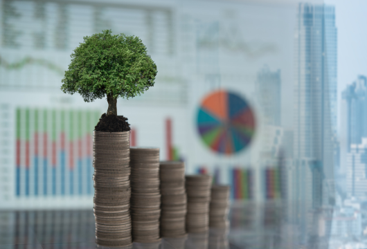 5 Reasons Why the Future Depends on Green Finance