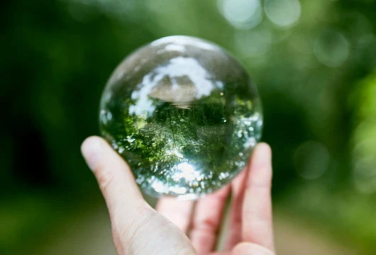 India's Green Future: 5 Best Practices for a Sustainable Transition