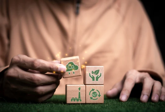 3 Ways the World and India Are Embracing the Green Transition