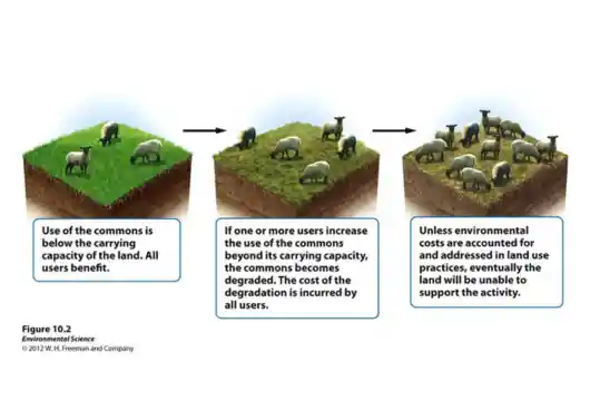 Understanding Our Waste for a Sustainable Future