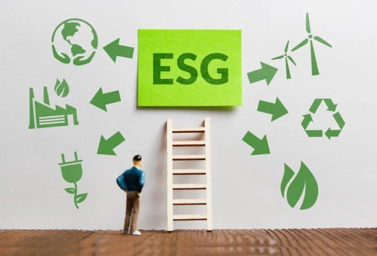 5 Essential Digital Transformation Strategies for ESG Success in India