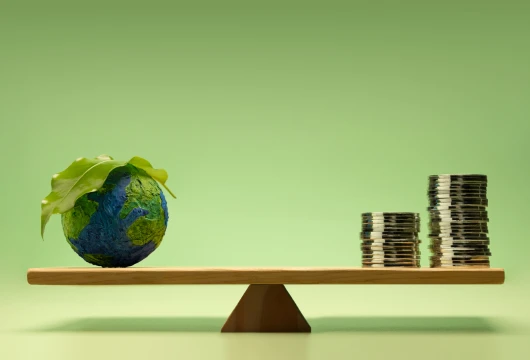  “India’s Green Balance Delivers Real Results”
