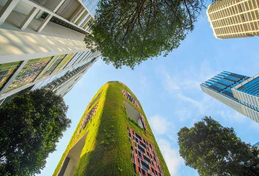 5 Ways to Live Sustainably in Cities