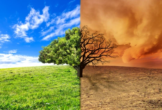 5 Reasons Why India and Other Nations Must Prioritize Climate Action