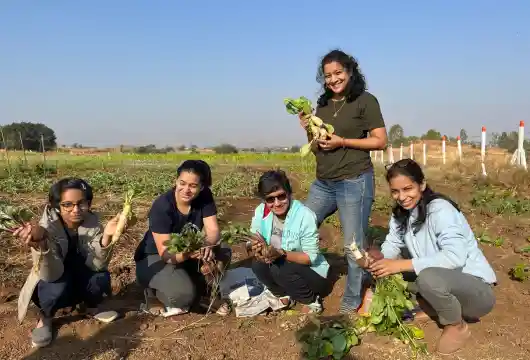 Purna Farm : Cultivating Abundance in the Heart of Sustainability