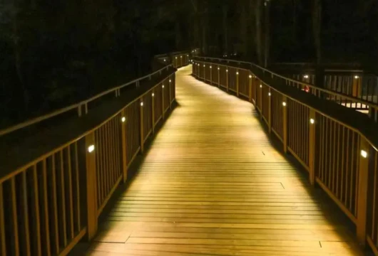Mumbai's First Elevated Nature Walkway Unveiled at Malabar Hill