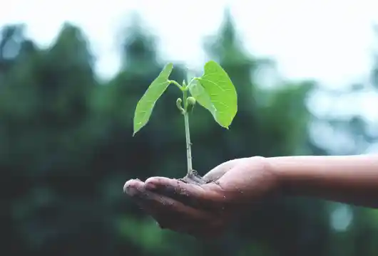 RBI Pursuing Green Bond securities