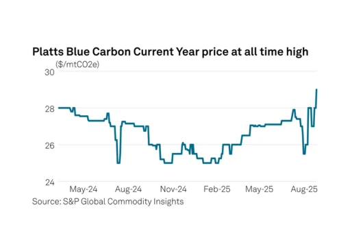 Blue Carbon Credits Reach Record High Amid Growing Global Demand