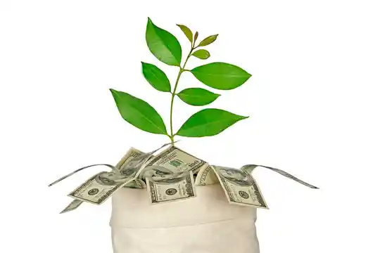 World Bank grants 1.5 billion dollars for India's energy transition