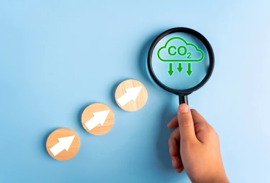 Microsoft Expands Carbon Removal Efforts in Brazil