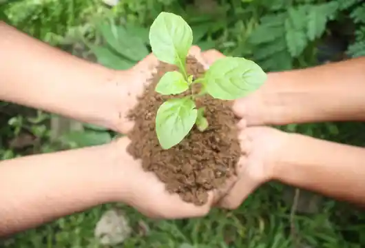 Indian Army to "Go Green"