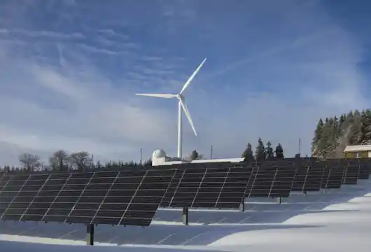 Amazon will launch its renewable energy trading business in India