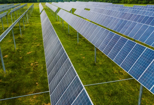 Jakson Green Drives Sustainable Expansion in Renewable Energy