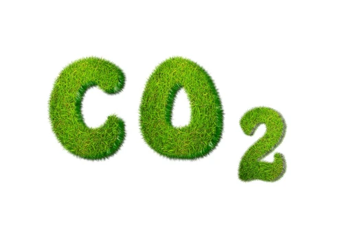 UN Adopts Carbon Credit Standard for Communities