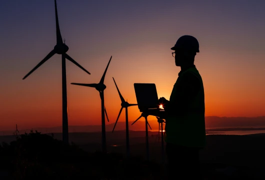 India's Remarkable Stride: renewable Energy Takes the Lead in Power Capacity Growth