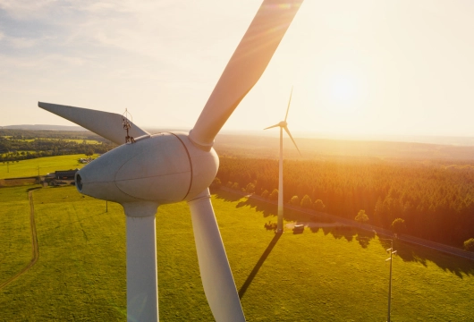 The Hybrid Project: Solar + Wind