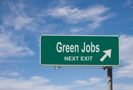 J&K Government Designates Nodal Officer for Green Jobs