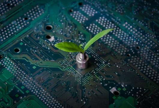 Empowering Startups with Transformative Eco-Innovation  