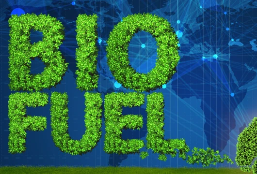 Gruner Renewable Energy to Build Rs 220 Crore Biogas Plant in Gujarat