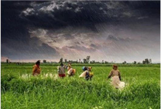 Somalia's Ugbaad Project Strengthens Climate Resilience
