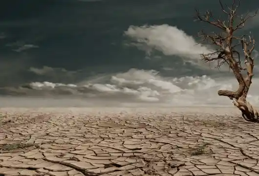 Bihar and UP among the top 50 climate-risk areas in the world