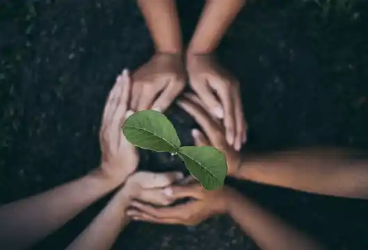 Kenya's Green Revolution: A Holiday to Plant 100 Million Trees
