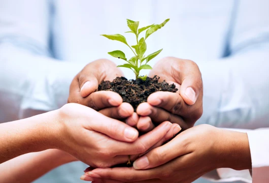 Sustainable Agriculture: Empowering Farmers with Carbon Credits