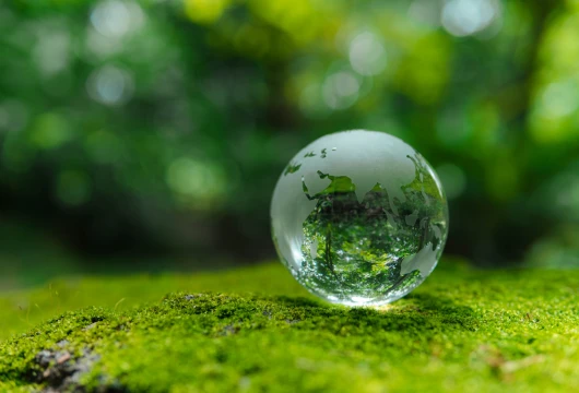 HSBC Expands Low-Carbon Finance With New Infrastructure Unit