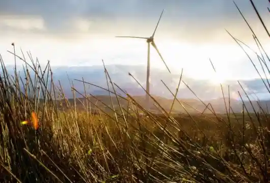 Ikea Makes Significant Strides in Reducing Carbon Footprint