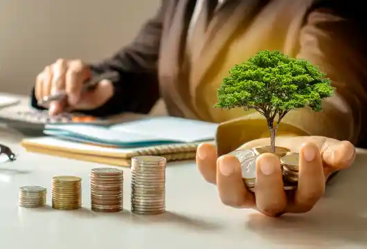 CaHa Capital has established a climate-focused venture studio