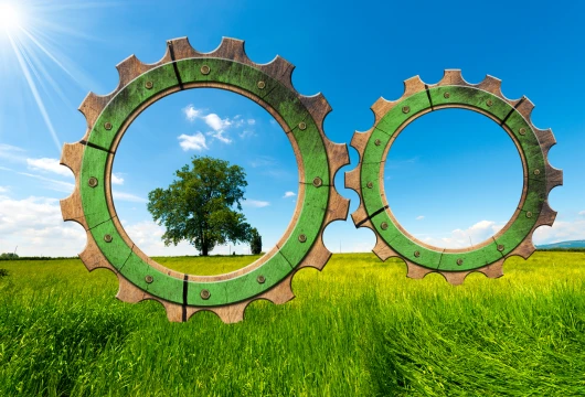 China's Circular Economy Milestone: Recycling Group Launch