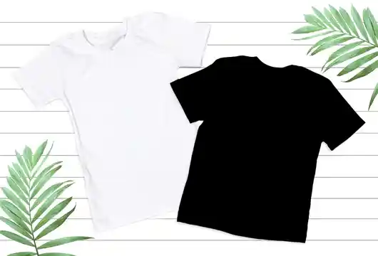 Sheep Inc Introduces World's First Zero-Carbon T-Shirt with Negative Carbon Footprint