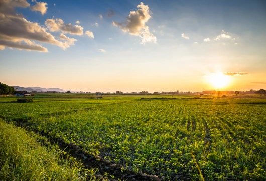 Sustainability Drives Water Conservation in Livestock Sector