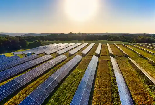 Andhra Pradesh wants to lead the way in green energy