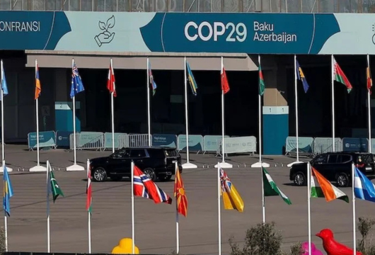 Global Pact on Carbon Credits Takes Shape at COP29