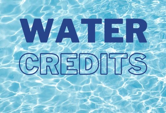 Water Credits: Transforming Sustainable Water Management Practices