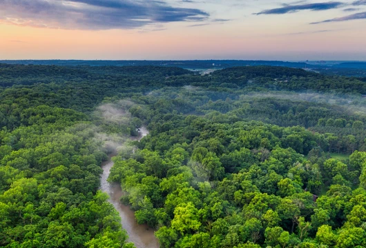 India Climbs Global Green Ladder with Pride