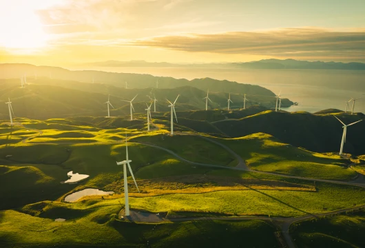 Collaboration drives India’s renewable energy revolution.