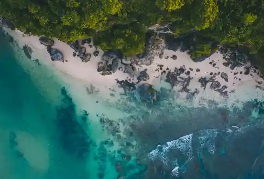Indonesia and WEF Work Together to Expand Blue Carbon Credits