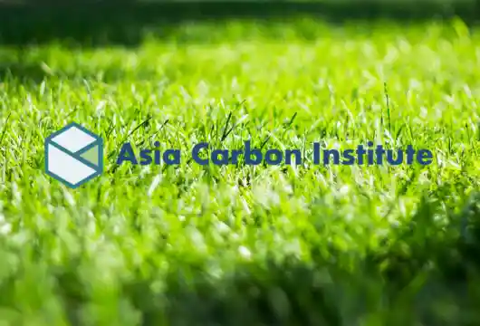 Sustainable Urban Solutions: Asia's Quest for a Greener Tomorrow